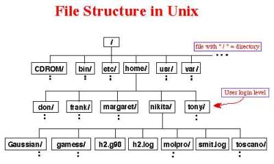 Estrutura de arquivos no Unix/Linux