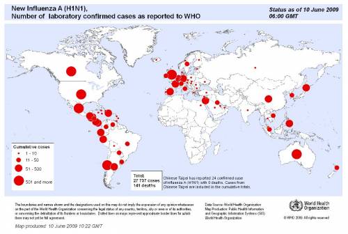 h1n1_pandemic1.jpg